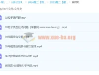 2024高中物理高二寒假班 谢丽荣精讲电磁感应与粒子运动