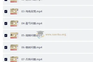 松松老师应用题通关课 小学阶段系统解题思维训练