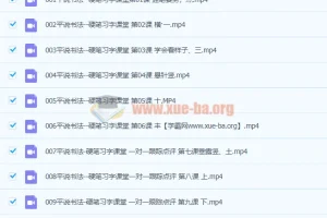 平说书法硬笔习字150集视频课程 一对一跟踪点评教学