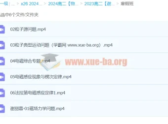 2024高中物理高二寒假班 谢丽荣精讲电磁感应与粒子运动