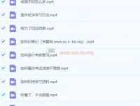 吕子正化学2024高三高考化学押题点睛班 选择题满分攻略+大题解题攻略+30天打卡
