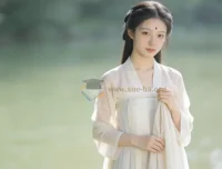 Seedance 2.0保姆级教程合集，5套系统课程从入门到精通AI视频创作