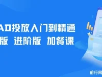 巨量AD投放入门到精通：基础版+进阶版+加餐课，系统掌握广告投放全流程