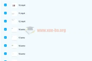 剑桥商务英语BEC初级+中级+高级全套视频教程