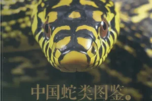 中国蛇类图鉴上下册：245种野生蛇类全收录，鳞片特征与生态影像完整呈现