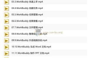 WorkBuddy职场提效应用实战：从入门到精通的全流程AI办公技能课