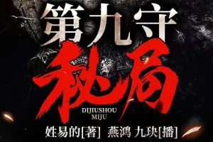 有声小说《第九守秘局》夜推磨先生精品双播706集完结