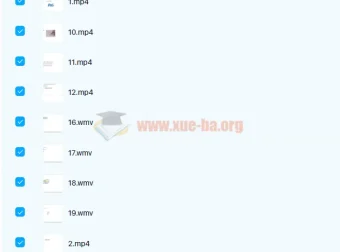 剑桥商务英语BEC初级+中级+高级全套视频教程