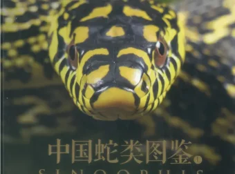 中国蛇类图鉴上下册：245种野生蛇类全收录，鳞片特征与生态影像完整呈现