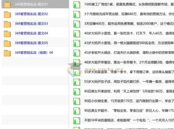391套真实商业模式案例合集，从年入几十万到几百万的实战解析（电子书+视频+图文）