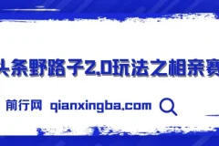 微头条野路子2.0相亲赛道玩法，无脑搬运复制粘贴，单账号日入300+实操教程