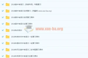 初中语文中考总复习资料大全，人教版通用版专题课件合集