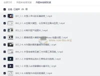 外贸AI应用实战：从开发信到数字员工的完整技能提升课