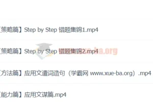 李辉英语2024高三高考英语二轮春季班 考前冲刺提分课程