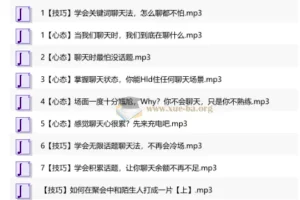 治愈聊天终结者：从心态到技巧，让每次对话都有得聊
