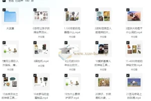 米高老师《雪球学习法+错题归零法》全体系课程：从刻意练习到思维跃迁