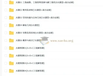 冲刺2025高考数学大题突破+限时集训（新高考专用）全套精做资料