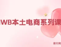 俄罗斯跨境电商实战课：OZON与Wildberries本土店运营全攻略