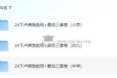 2024教资【卢姨押题】最后三套卷+急救班（小学/中学/幼儿全学段）
