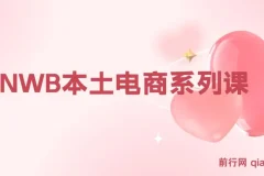 俄罗斯跨境电商实战课：OZON与Wildberries本土店运营全攻略