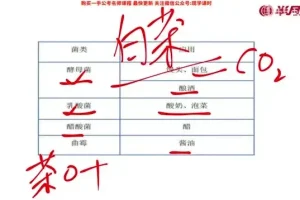 2025国考常识速成攻略：7节精讲课程+配套讲义全掌握