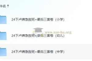 2024教资【卢姨押题】最后三套卷+急救班（小学/中学/幼儿全学段）