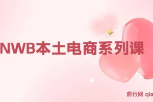 俄罗斯跨境电商实战课：OZON与Wildberries本土店运营全攻略