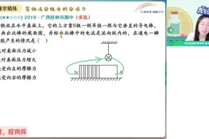 2024高二物理尖端班：洛伦兹力/动量定理/碰撞专题精讲