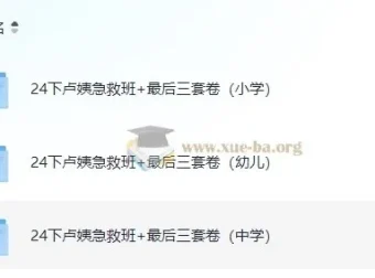 2024教资【卢姨押题】最后三套卷+急救班（小学/中学/幼儿全学段）