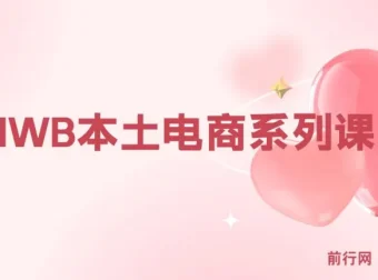 俄罗斯跨境电商实战课：OZON与Wildberries本土店运营全攻略