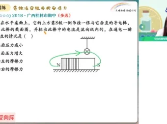 2024高二物理尖端班：洛伦兹力/动量定理/碰撞专题精讲