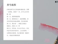 小红书宝宝起名副业实战：一键操作+专业软件