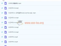 大王卡大刊牛文精讲班第四季完结课程