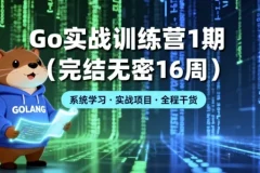 Go实战训练营1期（16周完结）大厂能力模型构建Go高手