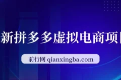 拼多多虚拟电商自动化项目，无人值守单店月入3000，批量放大实操课程