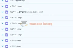 大王卡大刊牛文精讲班第四季完结课程