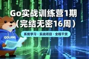 Go实战训练营1期（16周完结）大厂能力模型构建Go高手