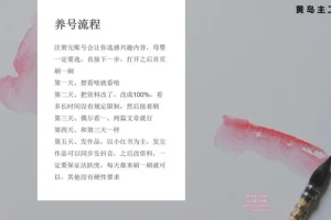 小红书宝宝起名副业实战：一键操作+专业软件