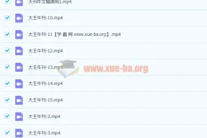 大王卡大刊牛文精讲班第四季完结课程
