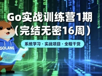 Go实战训练营1期（16周完结）大厂能力模型构建Go高手