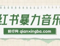 小红书暴力音乐号实操课程，零基础玩转流量变现，单号月入5000+