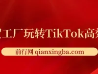 外贸工厂TikTok高效获客实战课：账号定位、引流方式与爆款打造全解析