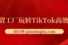 外贸工厂TikTok高效获客实战课：账号定位、引流方式与爆款打造全解析