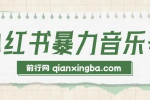 小红书暴力音乐号实操课程，零基础玩转流量变现，单号月入5000+