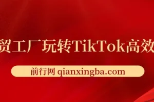 外贸工厂TikTok高效获客实战课：账号定位、引流方式与爆款打造全解析