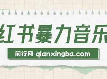 小红书暴力音乐号实操课程，零基础玩转流量变现，单号月入5000+