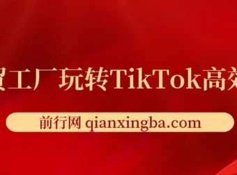 外贸工厂TikTok高效获客实战课：账号定位、引流方式与爆款打造全解析