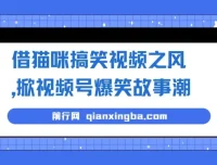 猫咪搞笑视频引爆视频号，爆笑故事轻松变现，零门槛快速上手