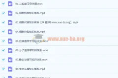 2021高一化学 康永明 秋季系统班课程 完整版