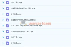 2021八年级语文春季班 段微微16讲全 含讲义试卷真题